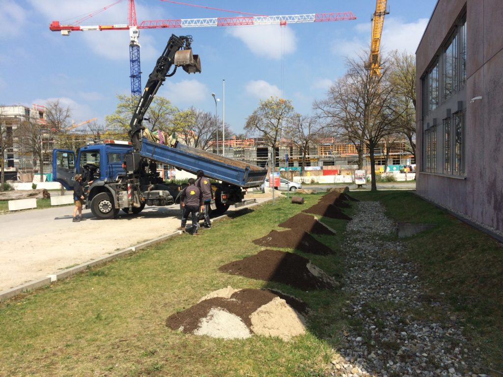 Blühstreifen