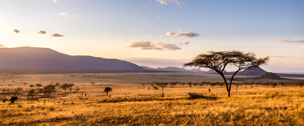 wiLIVE Südliches Afrika 2024