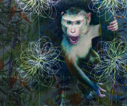 Kunstwerk Regine Wolff - Zorn