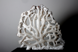 Impressionen Ausstellung 2015