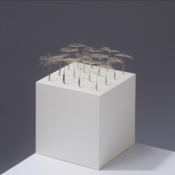 Impressionen Ausstellung 2016