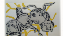 Impressionen Ausstellunge 2012