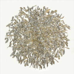 Impressionen Ausstellung 2015