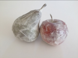 Impressionen Ausstellung 2018