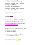 Silvesterkonzert Programm Silvesterkonzert Programm