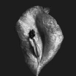 Olchinger Kulturverein Sebastian Fink