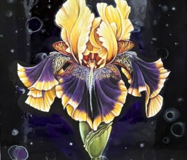 Anna Stepanova - Iris